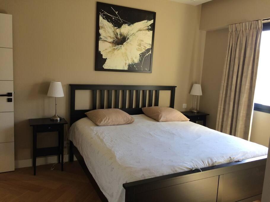 ניס Lovely Refurbished Apartment מראה חיצוני תמונה